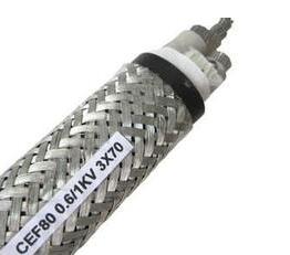 船用電纜CEV92-3*70+1*35